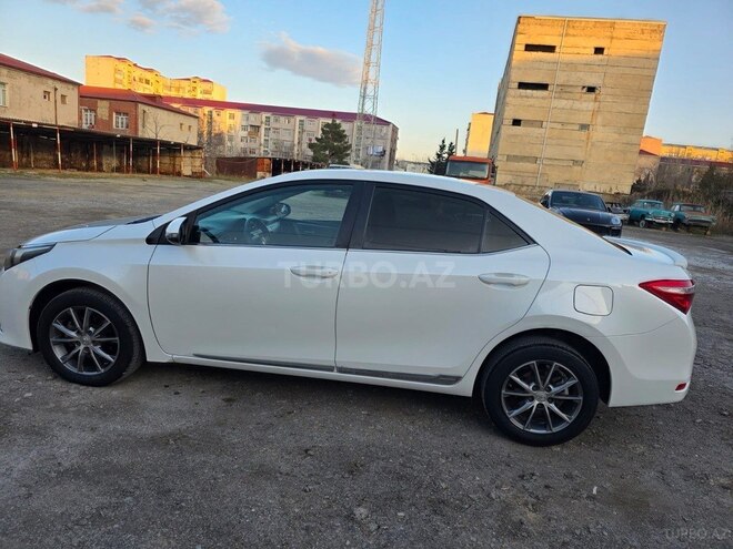 Toyota Corolla-7