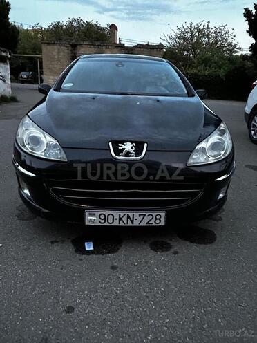 Peugeot 407-1