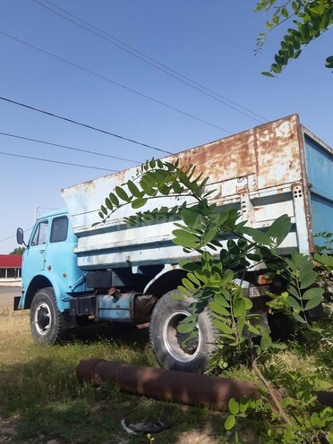 MAZ 504-6