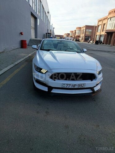 Ford Mustang-1
