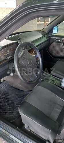 Mercedes 250 D-15