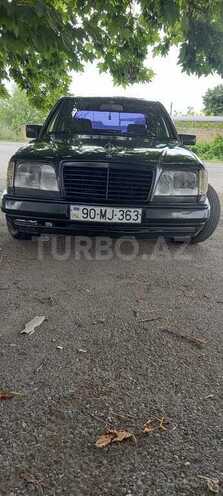 Mercedes 250 D-12