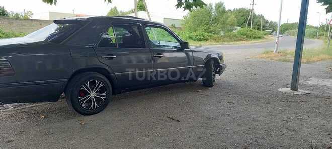 Mercedes 250 D-18