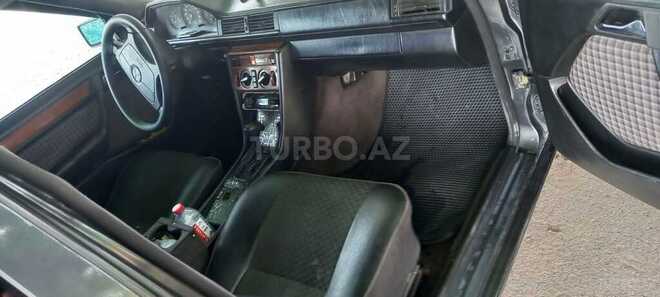 Mercedes 250 D-16