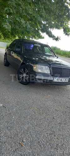 Mercedes 250 D-21
