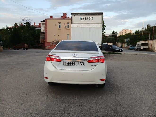 Toyota Corolla-10