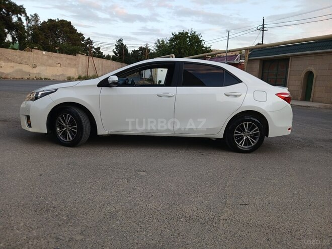 Toyota Corolla-13