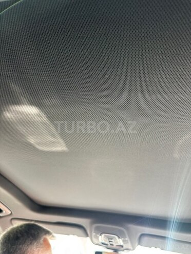 Audi Q8-17