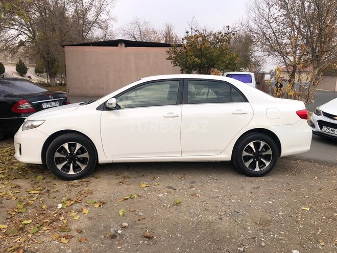 Toyota Corolla-3