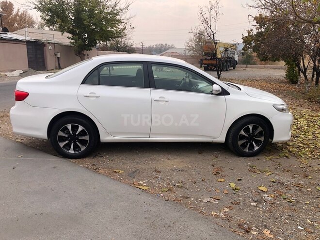Toyota Corolla-4