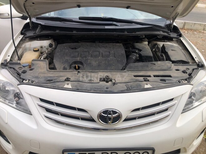 Toyota Corolla-10