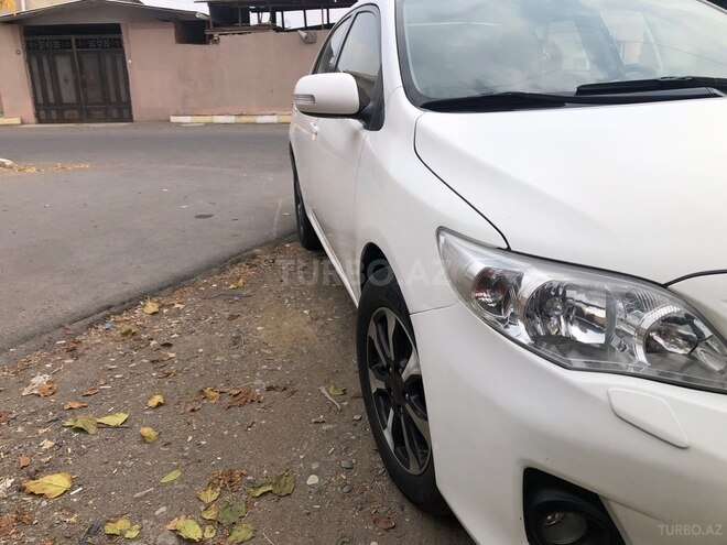 Toyota Corolla-14