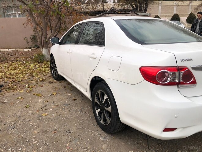 Toyota Corolla-15