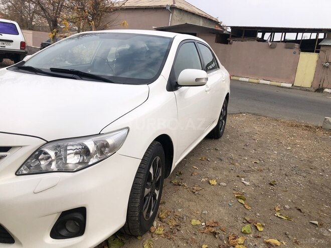 Toyota Corolla-16