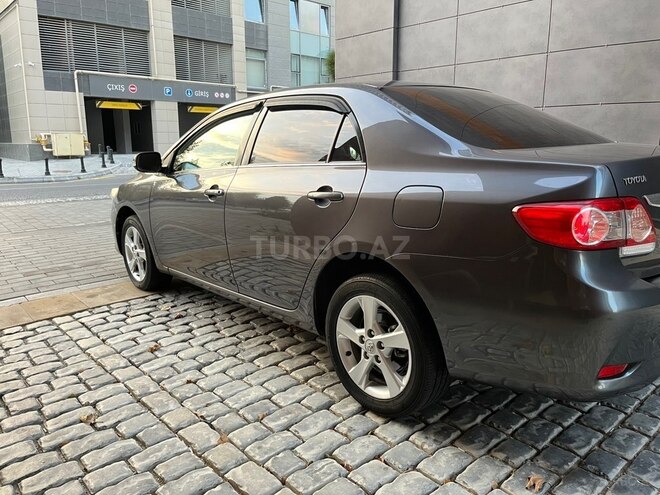 Toyota Corolla-6