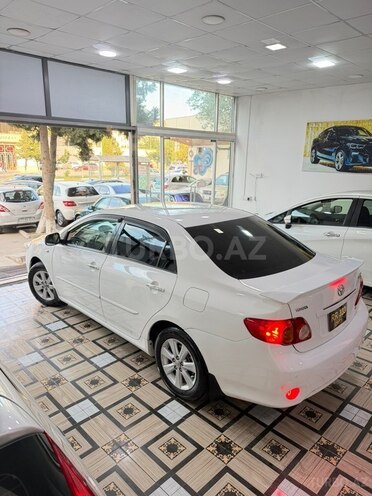 Toyota Corolla-6