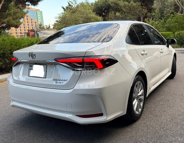 Toyota Corolla-4