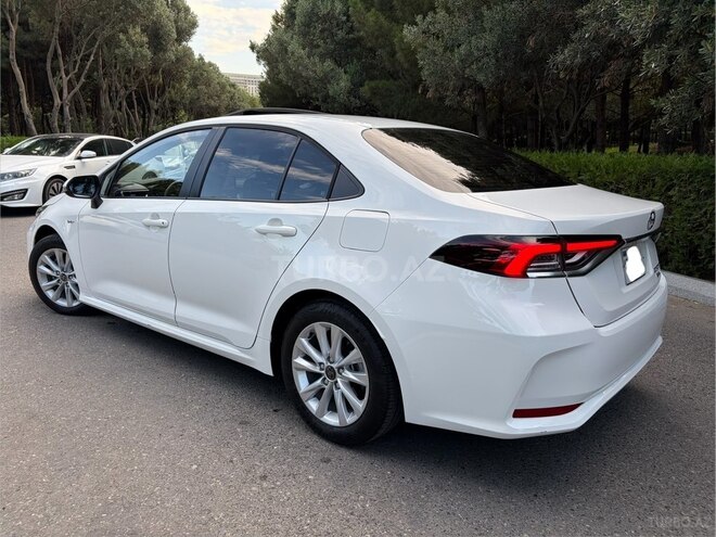 Toyota Corolla-6