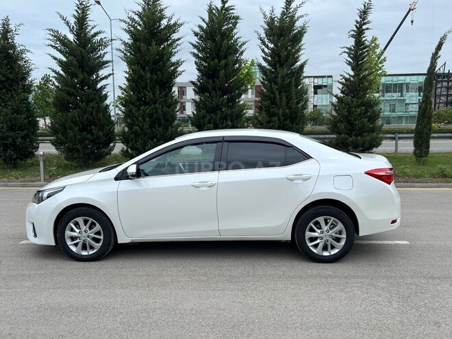 Toyota Corolla-8