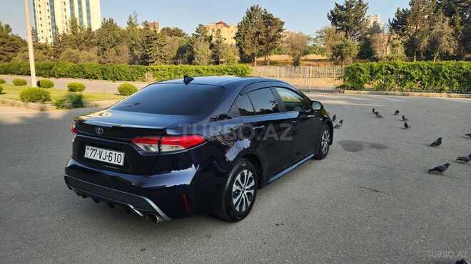 Toyota Corolla-12