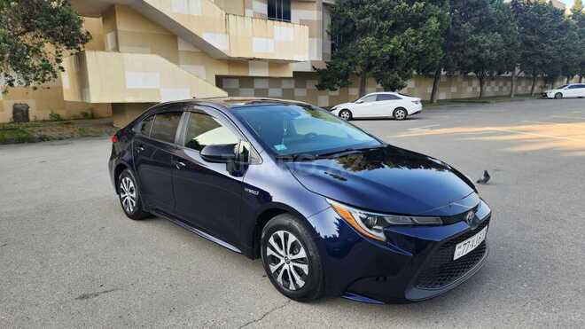 Toyota Corolla-11