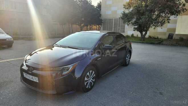 Toyota Corolla-2
