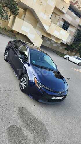 Toyota Corolla-4