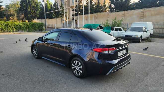 Toyota Corolla-13