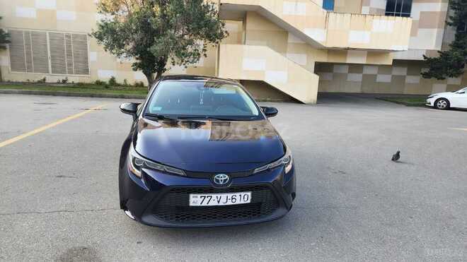 Toyota Corolla-9