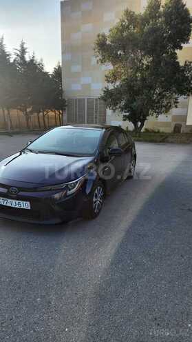 Toyota Corolla-3