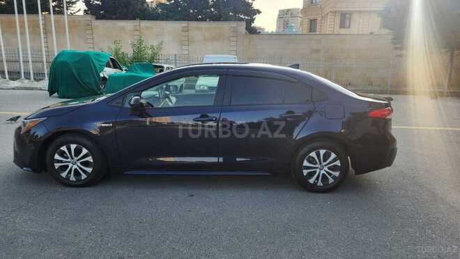 Toyota Corolla-14