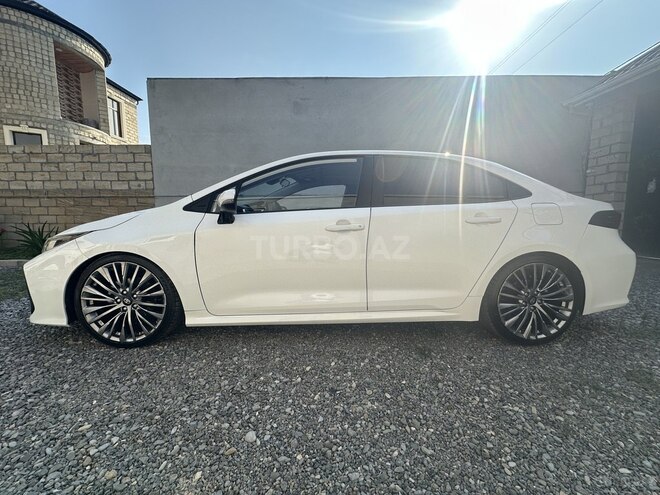 Toyota Corolla-7