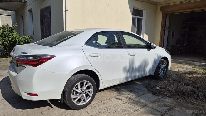 Toyota Corolla-4