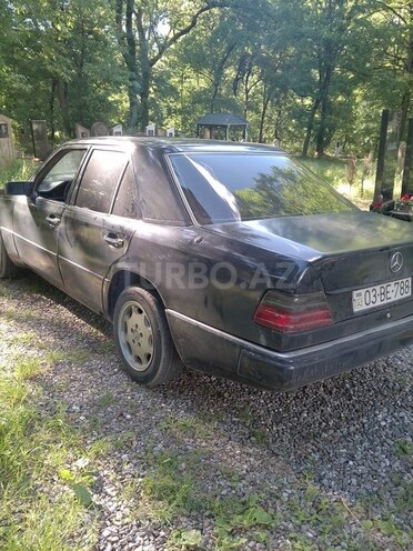 Mercedes 200 D-12