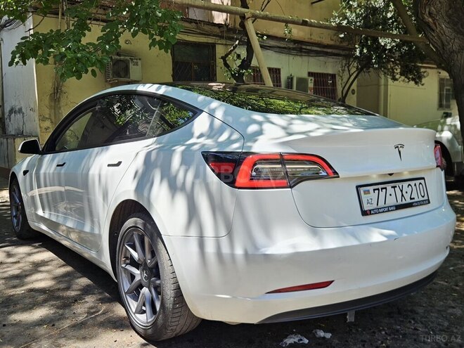 Tesla Model 3-4