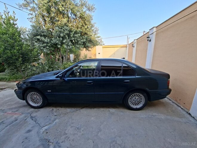 BMW 523-6