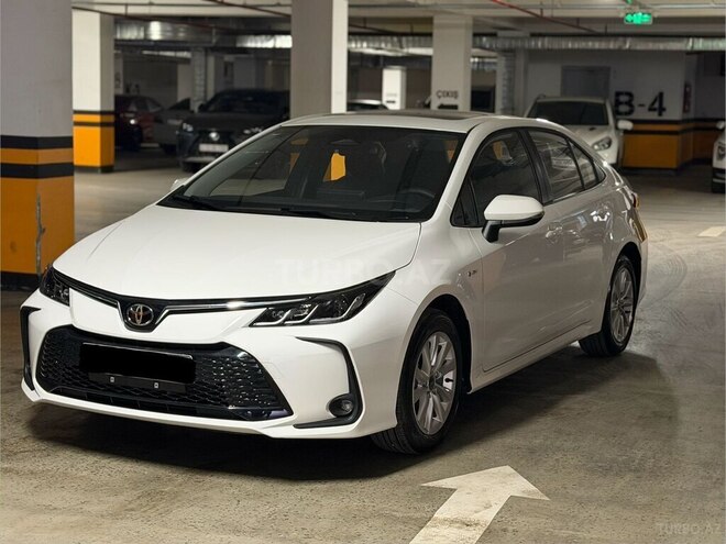 Toyota Corolla-16