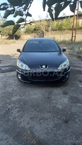 Peugeot 407-1
