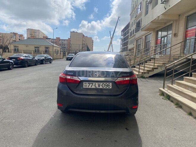 Toyota Corolla-4
