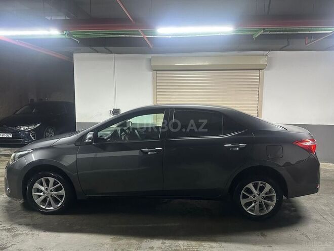 Toyota Corolla-4