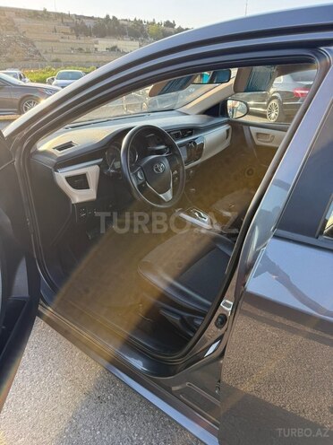 Toyota Corolla-6