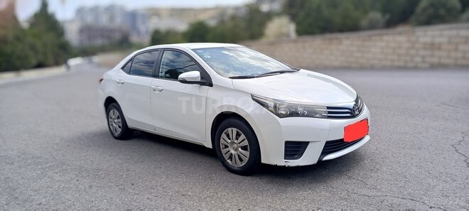 Toyota Corolla-4