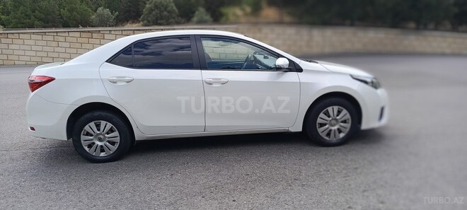 Toyota Corolla-7