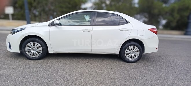 Toyota Corolla-8