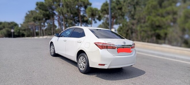 Toyota Corolla-6