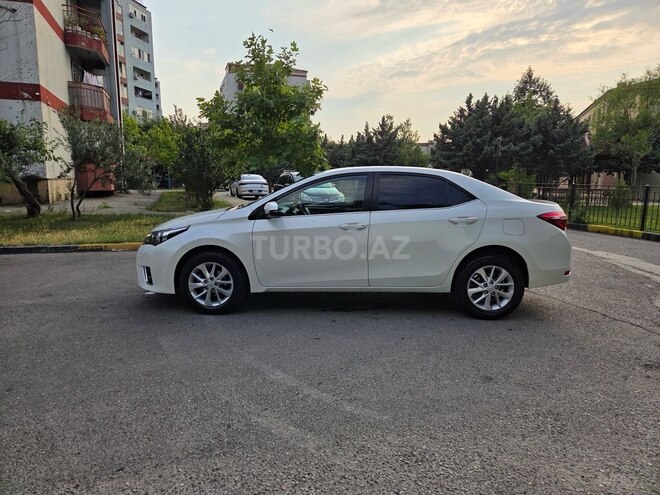 Toyota Corolla-3