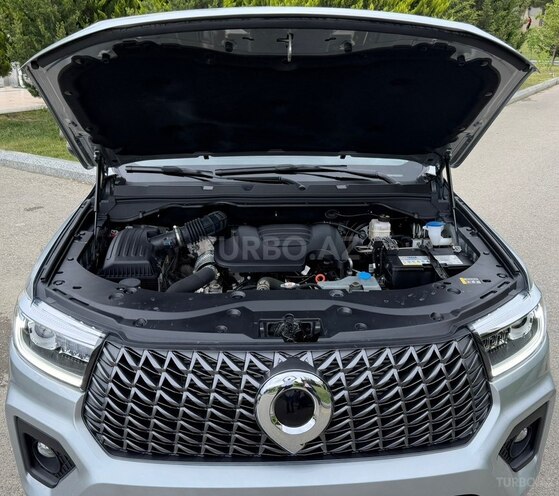 GWM (Great Wall Motor) Poer-6