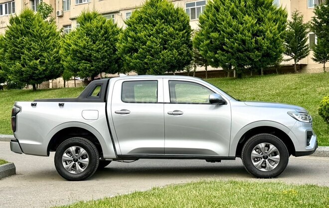 GWM (Great Wall Motor) Poer-19