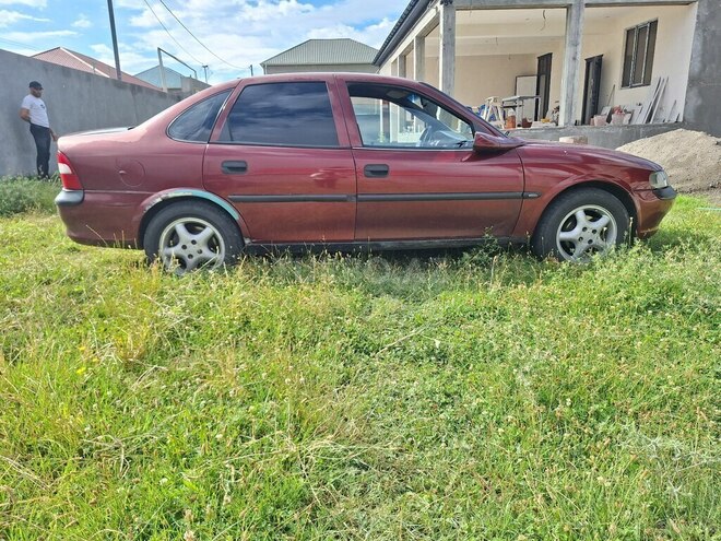 Opel Vectra-4