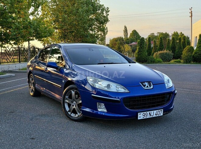 Peugeot 407-1